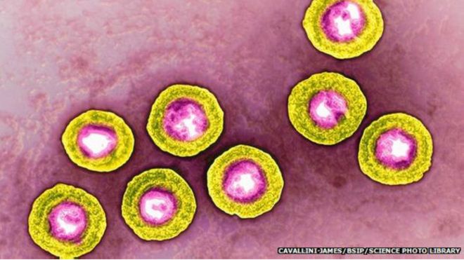 150527141104_skin_cancer_microscope_624x351_spl_nocredit